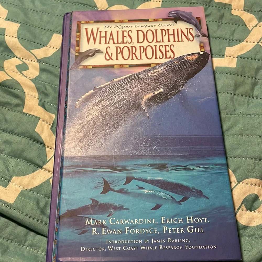 Book - Picture 1 of 1